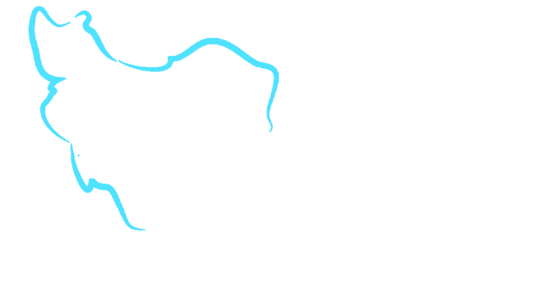 Iran Protest – آرشیو اعتراضات ایران